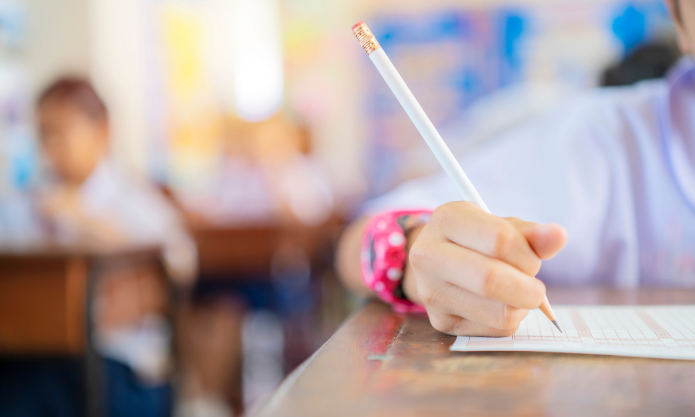 Simularea Evaluării Naționale în Sălaj