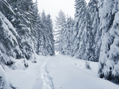 Prognoza ANM pentru Crăciun și Revelion 2025