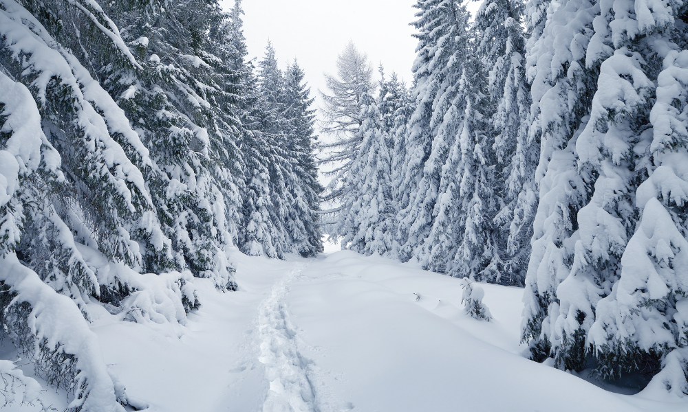 Prognoza ANM pentru Crăciun și Revelion 2025