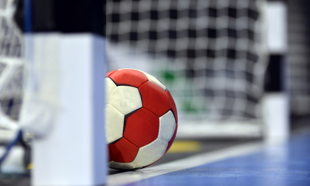 HC Zalău Cupa României