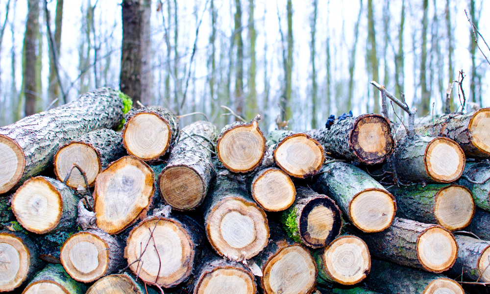 Bonusurile de pensionare Romsilva