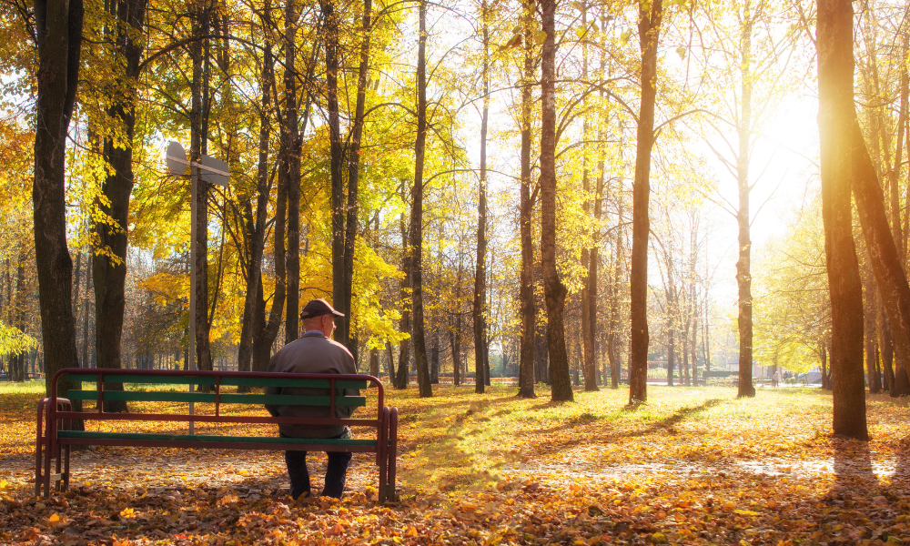 Plata pensiilor din ianuarie 2026 va începe mai târziu