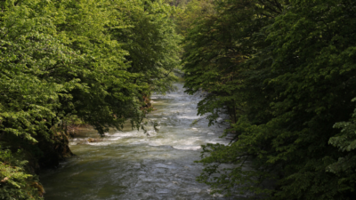 Lucrare ecologică pe râul Crasna