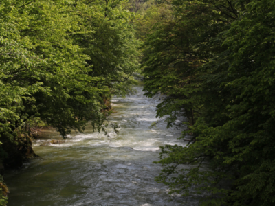 Lucrare ecologică pe râul Crasna