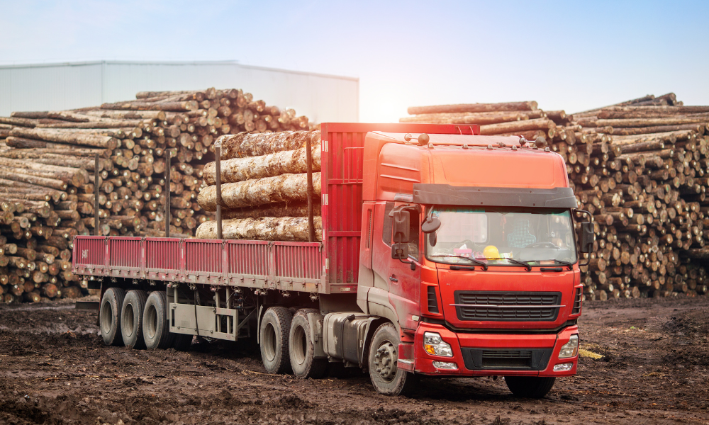 tentativă de fraudă cu lemn