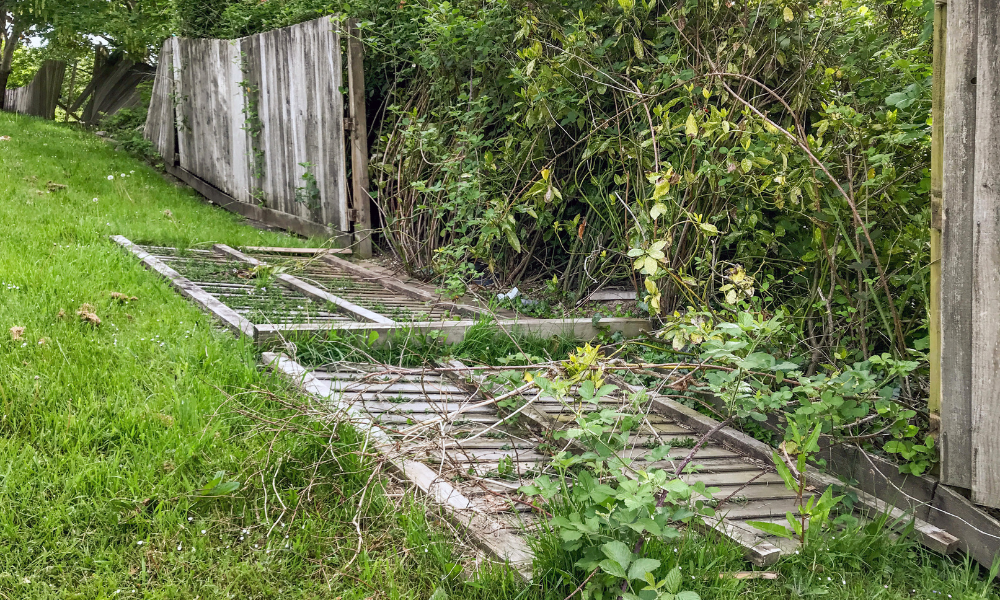 Rafale de până la 120 km/h în Munții Apuseni