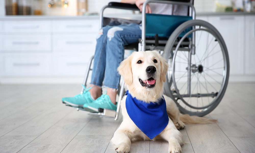 Certificatele de handicap cu valabilitate permanentă rămân neschimbate