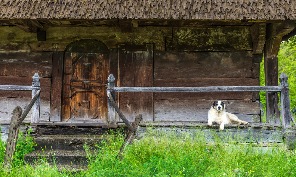 Sfântul Iacob de la Putna