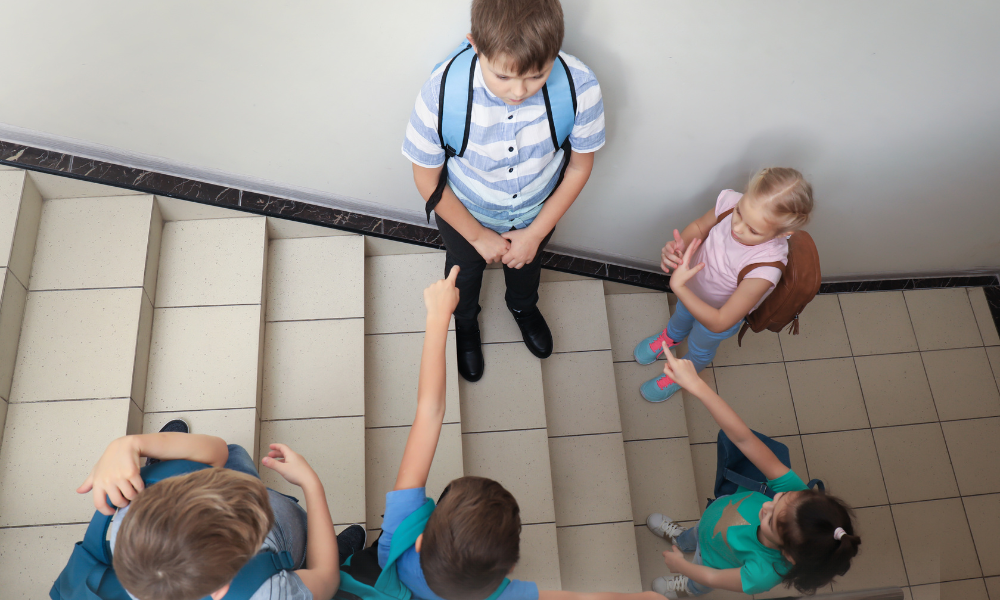 Rezultate Simulare Evaluare Națională