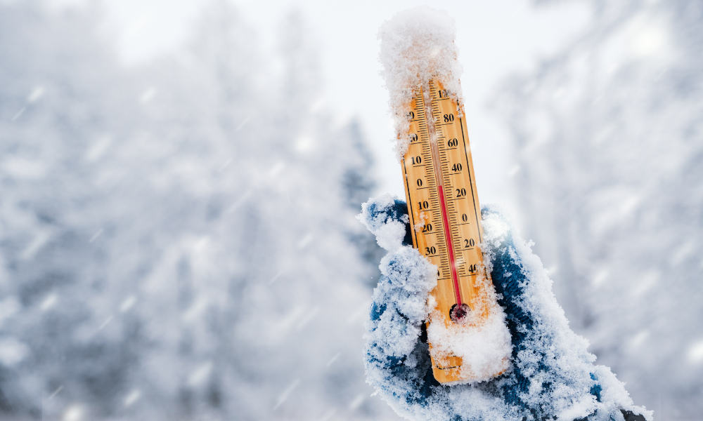 Ger extrem în România