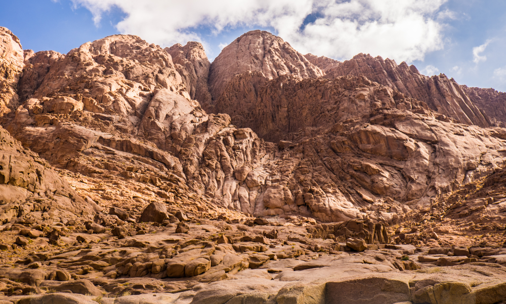 Aducerea moaștelor Sfinților Chir și Ioan