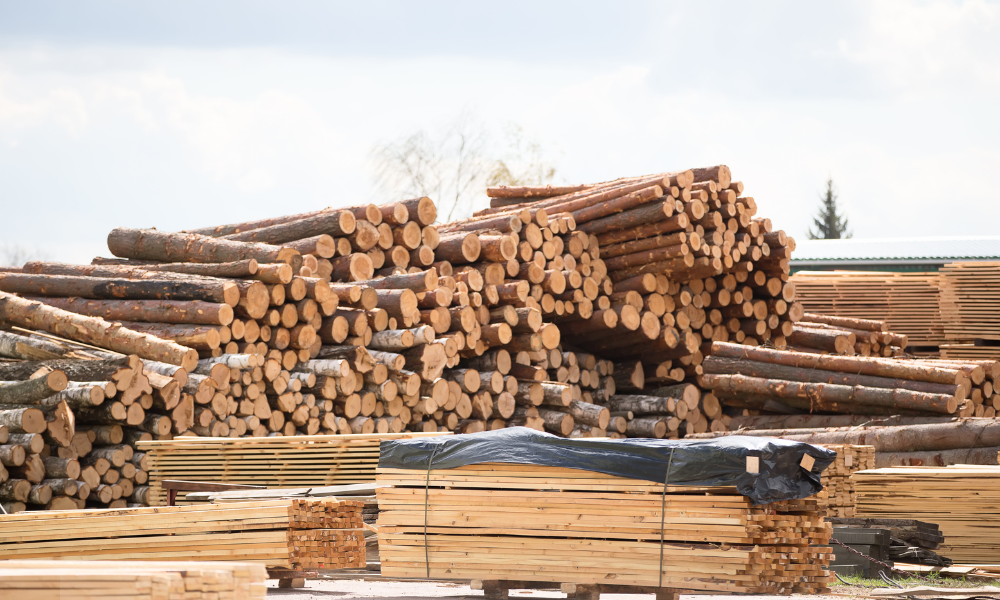 tentativă de fraudă cu lemn