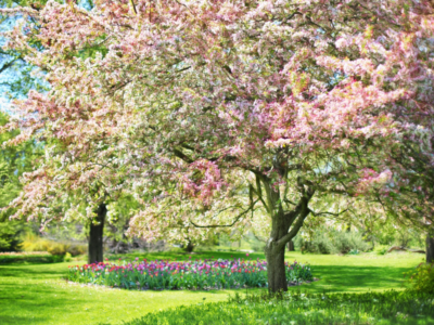 Prognoza meteo aprilie–mai 2026