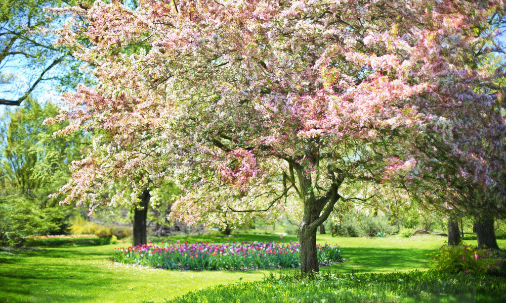 Prognoza meteo aprilie–mai 2026