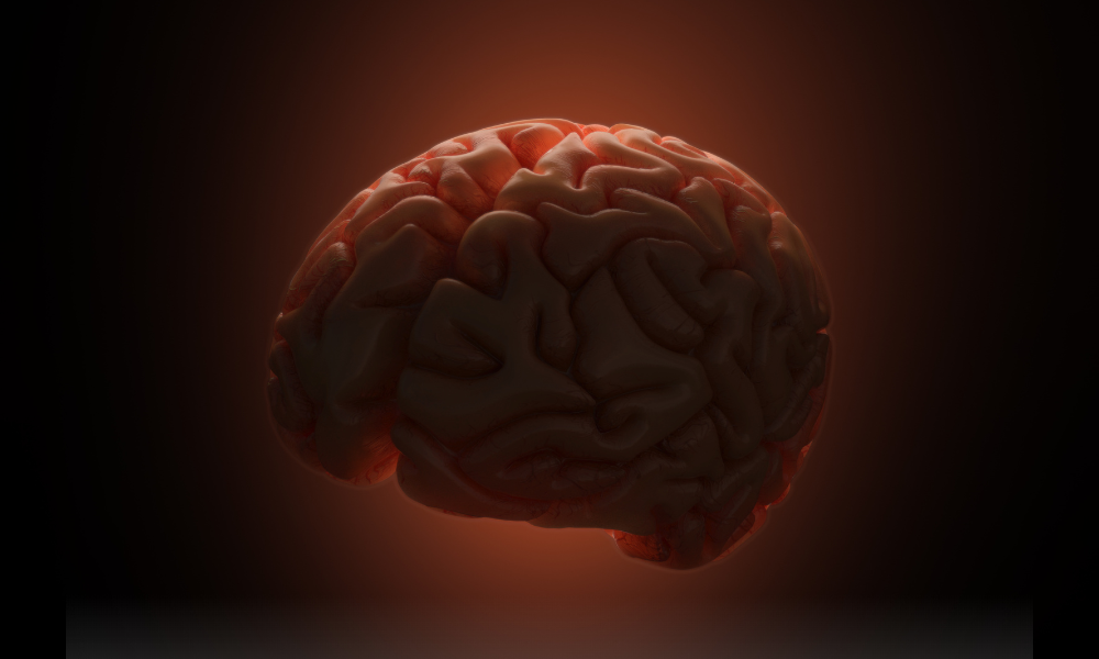 Creierul uman atinge apogeul