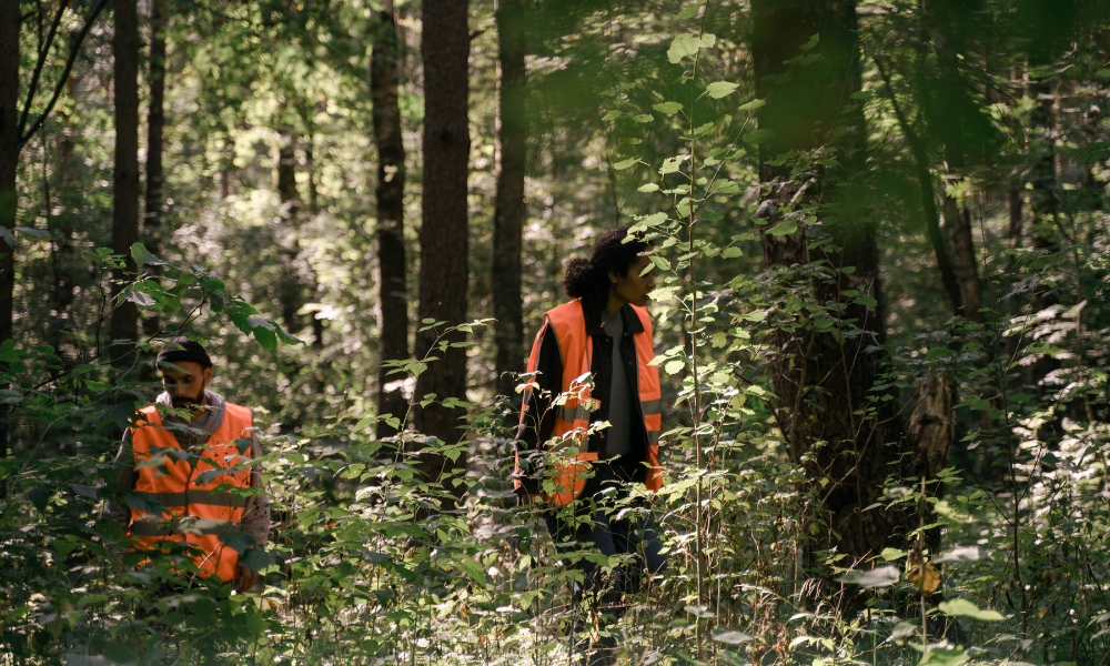 pădure voluntari caută un copil dispărut