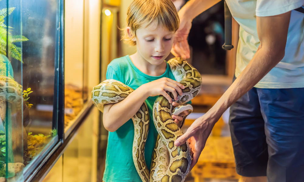 Grădină zoologică din Danemarca cere donații de animale de companie