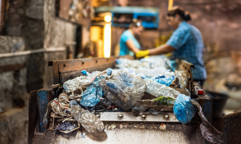 Sălaj, județul cu cel mai mare procent de reciclare