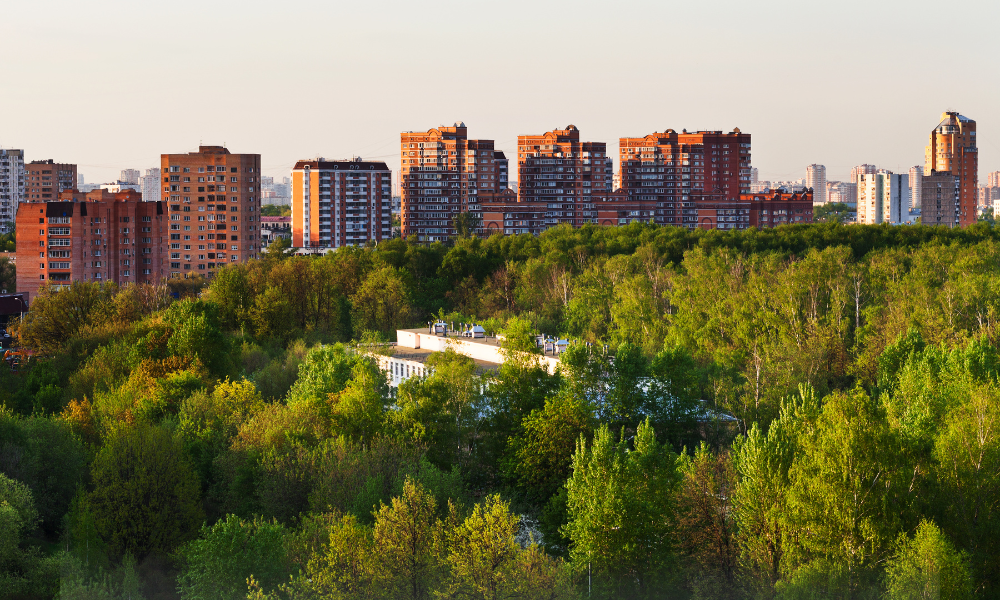 Fondurile PNRR pentru păduri urbane, pierdute