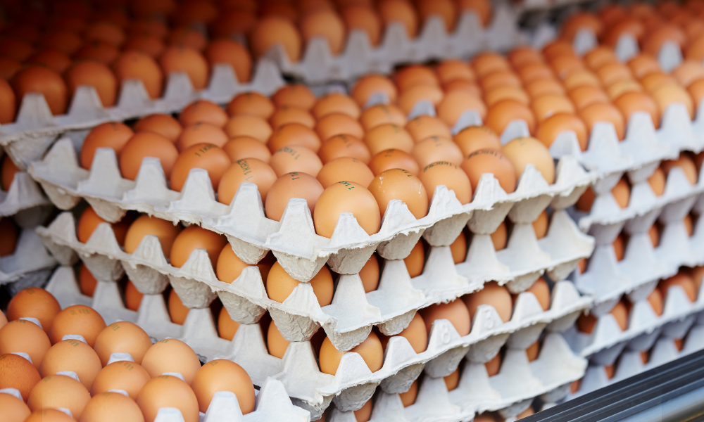 Cum verifici dacă ouăle sunt proaspete