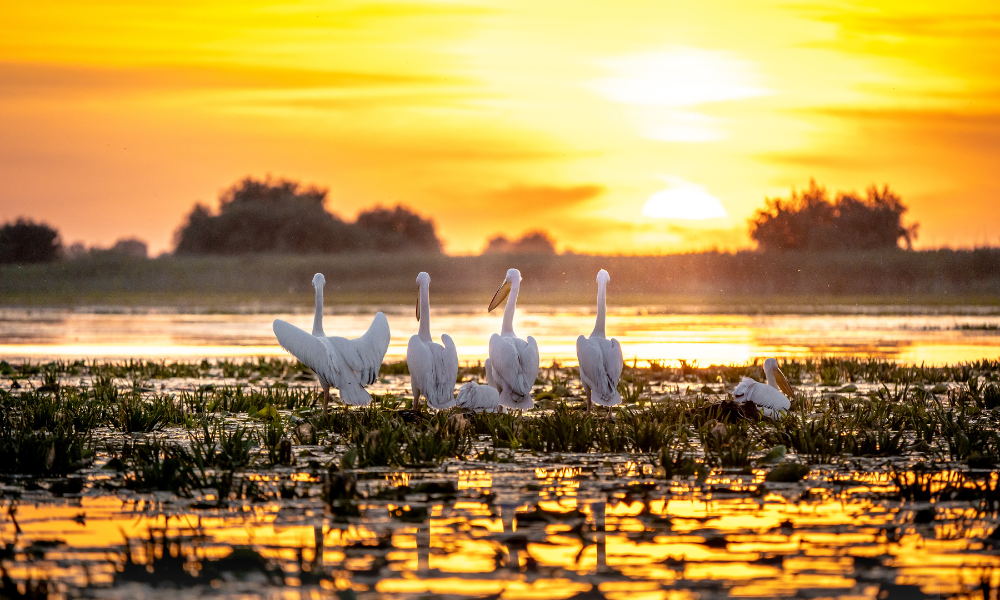 Reducere de 50% la impozitul pe proprietate