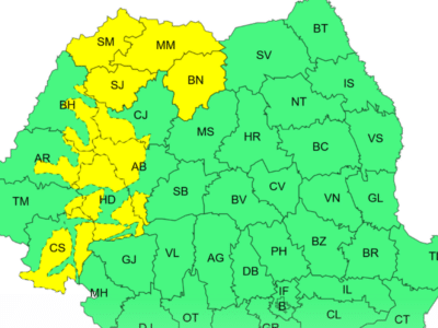 Cod galben în Sălaj