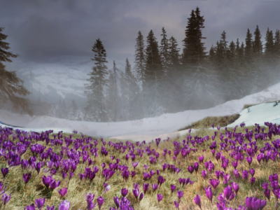 Prognoza meteo pentru următoarele 4 săptămâni