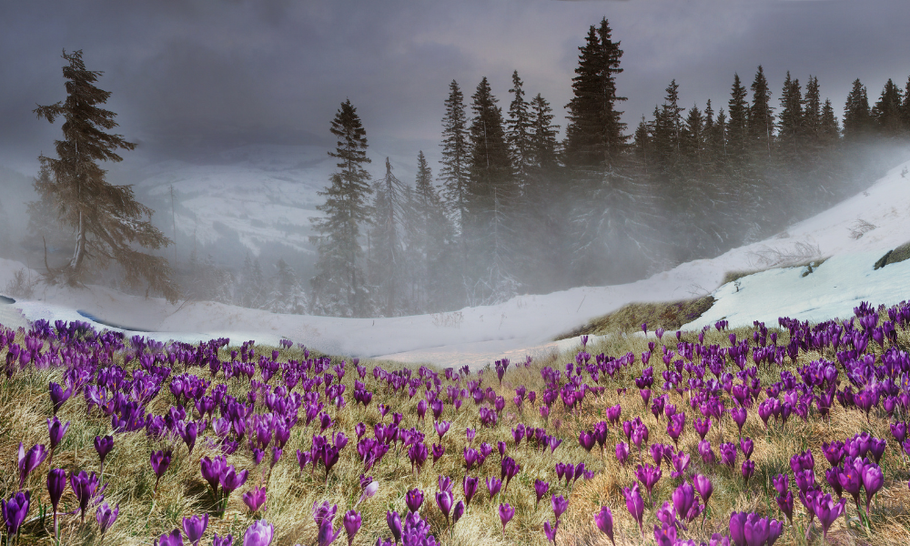 Prognoza meteo pentru următoarele 4 săptămâni