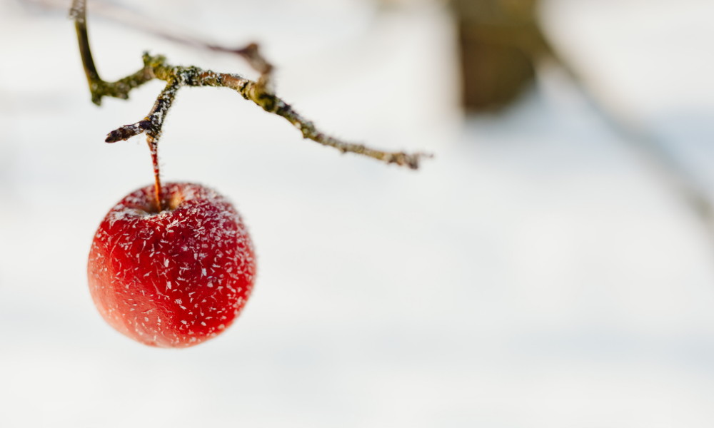 Vreme mai caldă decât normalul la început de februarie