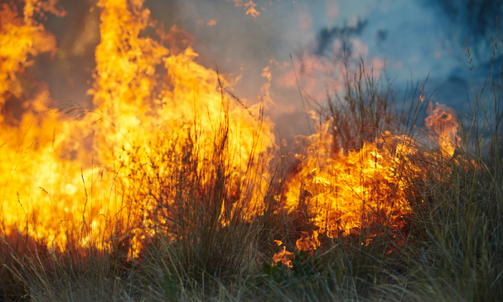 Avertisment al pompierilor