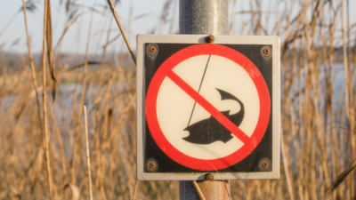 Prohibiție la pescuit în Sălaj