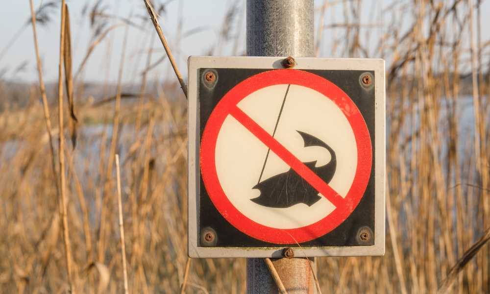 Prohibiție la pescuit în Sălaj