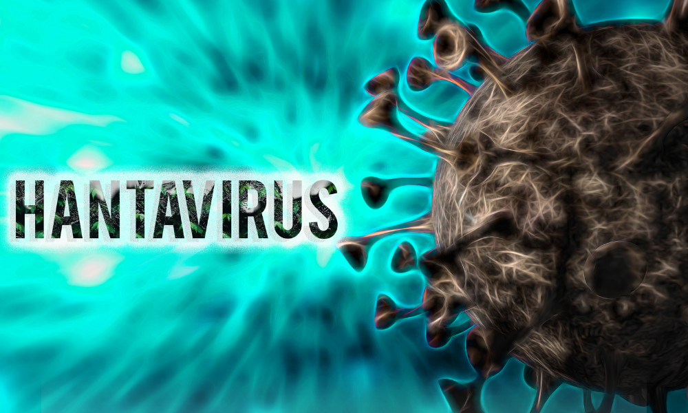 Tânărul diagnosticat cu hantavirus a fost externat